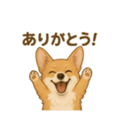 コーギー・コーギー（個別スタンプ：10）