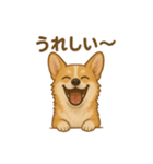 コーギー・コーギー（個別スタンプ：11）