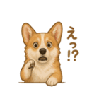 コーギー・コーギー（個別スタンプ：14）