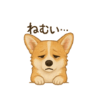 コーギー・コーギー（個別スタンプ：33）