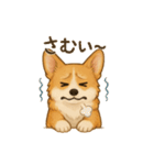 コーギー・コーギー（個別スタンプ：34）