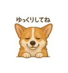 コーギー・コーギー（個別スタンプ：36）
