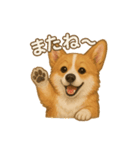 コーギー・コーギー（個別スタンプ：39）