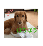 ロンぴのスタンプ2（個別スタンプ：7）