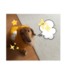 ロンぴのスタンプ2（個別スタンプ：19）