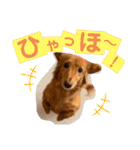 ロンぴのスタンプ2（個別スタンプ：22）