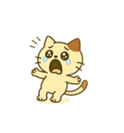 ミニにゃんの日常で使えるスタたち（個別スタンプ：8）