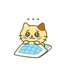 ミニにゃんの日常で使えるスタたち（個別スタンプ：10）