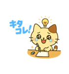 ミニにゃんの日常で使えるスタたち（個別スタンプ：13）