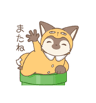 チベたぬ（個別スタンプ：1）