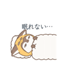 チベたぬ（個別スタンプ：13）