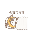 チベたぬ（個別スタンプ：14）