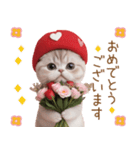 スコティッシュ猫 感謝と思いやり 母の日（個別スタンプ：10）