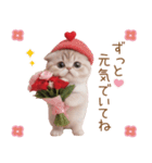 スコティッシュ猫 感謝と思いやり 母の日（個別スタンプ：14）