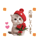 スコティッシュ猫 感謝と思いやり 母の日（個別スタンプ：18）