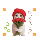 スコティッシュ猫 感謝と思いやり 母の日（個別スタンプ：19）