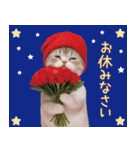 スコティッシュ猫 感謝と思いやり 母の日（個別スタンプ：24）