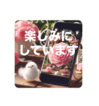 [大きな文字のスタンプ]☆薔薇（個別スタンプ：14）