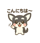 チワワの癒し 2 スタンプ（個別スタンプ：1）