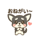 チワワの癒し 2 スタンプ（個別スタンプ：2）