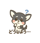 チワワの癒し 2 スタンプ（個別スタンプ：6）