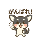 チワワの癒し 2 スタンプ（個別スタンプ：8）