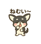 チワワの癒し 2 スタンプ（個別スタンプ：9）