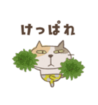 ねこがいる。【北海道弁2】（個別スタンプ：17）