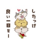 ねこがいる。【北海道弁2】（個別スタンプ：40）