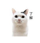 まつもとたける2（セリフ付き）（個別スタンプ：1）