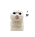 まつもとたける2（セリフ付き）（個別スタンプ：2）
