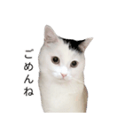 まつもとたける2（セリフ付き）（個別スタンプ：5）