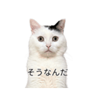 まつもとたける2（セリフ付き）（個別スタンプ：7）