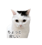まつもとたける2（セリフ付き）（個別スタンプ：8）