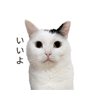 まつもとたける2（セリフ付き）（個別スタンプ：9）