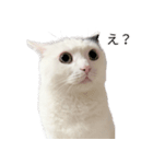 まつもとたける2（セリフ付き）（個別スタンプ：10）