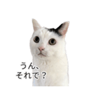 まつもとたける2（セリフ付き）（個別スタンプ：11）