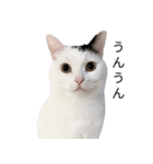 まつもとたける2（セリフ付き）（個別スタンプ：12）
