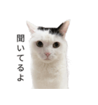 まつもとたける2（セリフ付き）（個別スタンプ：14）