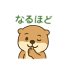 日常会話で使えるカワウソ（個別スタンプ：3）