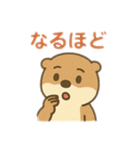 日常会話で使えるカワウソ（個別スタンプ：19）