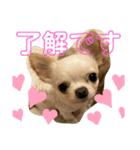 ふみか23（個別スタンプ：1）
