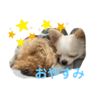 ふみか23（個別スタンプ：9）