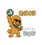 スーパー EITOマン バレーボール（個別スタンプ：10）