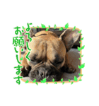 ぱる3（個別スタンプ：5）