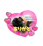 ぱる3（個別スタンプ：27）