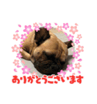 ぱる3（個別スタンプ：34）