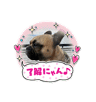 ぱる3（個別スタンプ：40）