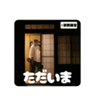 スケボージジィ②（個別スタンプ：29）