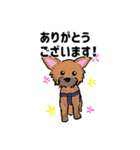 集まれAWESOMEなわんこ達①（個別スタンプ：14）